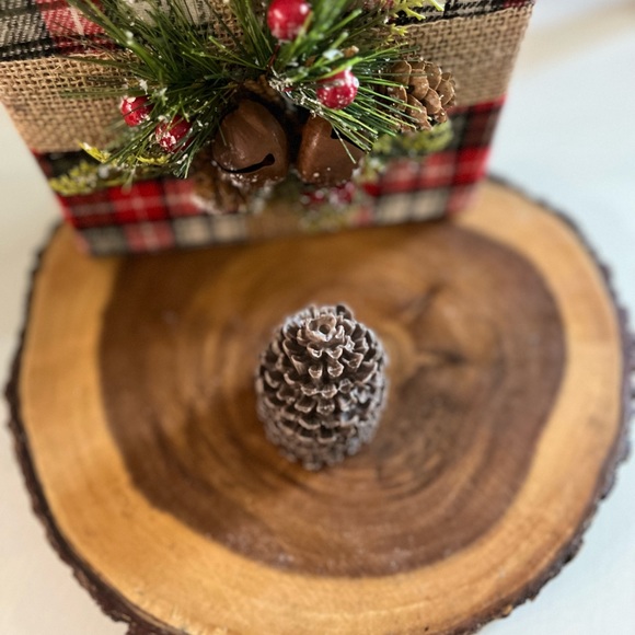 🎉HOST PICK🎉 Handmade Soap  Mountain Pine Cone SET OF 2 - Picture 3 of 3